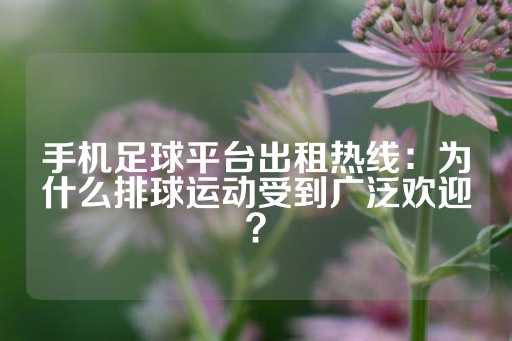 手机足球平台出租热线：为什么排球运动受到广泛欢迎？