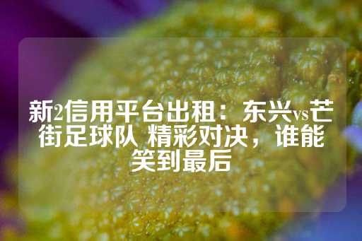 新2信用平台出租：东兴vs芒街足球队 精彩对决，谁能笑到最后