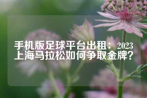 手机版足球平台出租：2023上海马拉松如何争取金牌？-第1张图片-皇冠信用盘出租