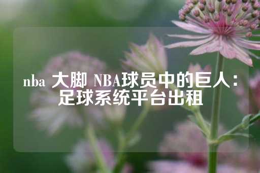 nba 大脚 NBA球员中的巨人：足球系统平台出租