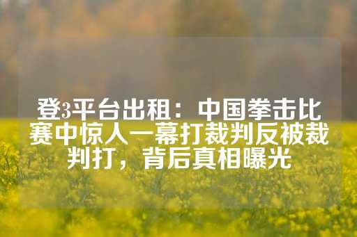 登3平台出租：中国拳击比赛中惊人一幕打裁判反被裁判打，背后真相曝光-第1张图片-皇冠信用盘出租