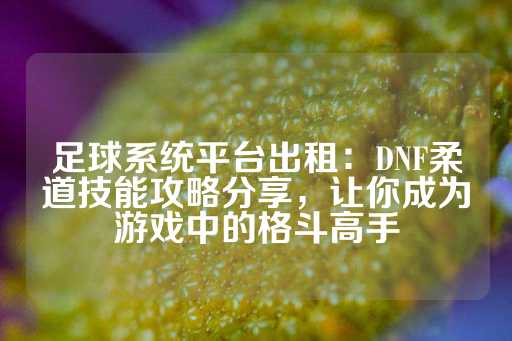 足球系统平台出租：DNF柔道技能攻略分享，让你成为游戏中的格斗高手-第1张图片-皇冠信用盘出租