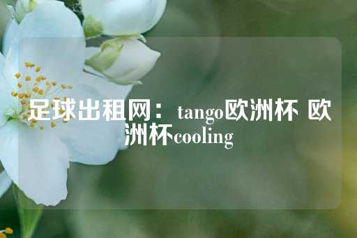 足球出租网：tango欧洲杯 欧洲杯cooling-第1张图片-皇冠信用盘出租