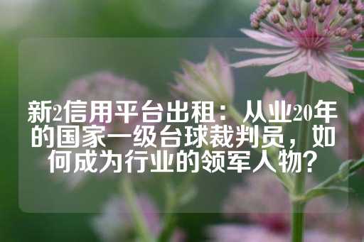 新2信用平台出租：从业20年的国家一级台球裁判员，如何成为行业的领军人物？-第1张图片-皇冠信用盘出租