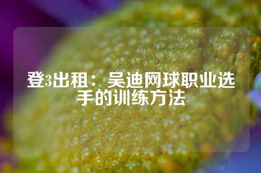 登3出租：吴迪网球职业选手的训练方法-第1张图片-皇冠信用盘出租