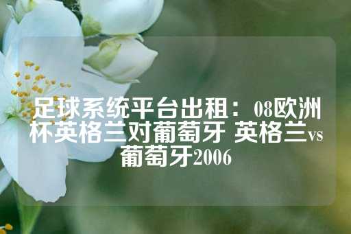 足球系统平台出租：08欧洲杯英格兰对葡萄牙 英格兰vs葡萄牙2006