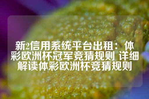 新2信用系统平台出租：体彩欧洲杯冠军竞猜规则 详细解读体彩欧洲杯竞猜规则