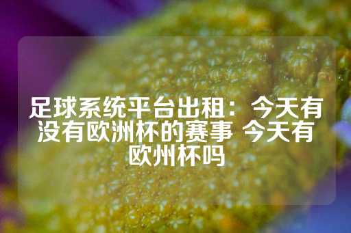 足球系统平台出租：今天有没有欧洲杯的赛事 今天有欧州杯吗-第1张图片-皇冠信用盘出租