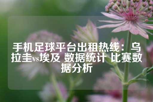 手机足球平台出租热线：乌拉圭vs埃及 数据统计 比赛数据分析-第1张图片-皇冠信用盘出租