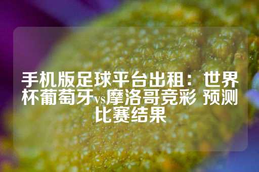 手机版足球平台出租：世界杯葡萄牙vs摩洛哥竞彩 预测比赛结果