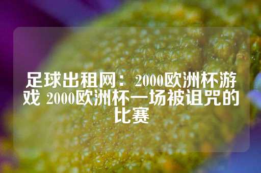 足球出租网：2000欧洲杯游戏 2000欧洲杯一场被诅咒的比赛