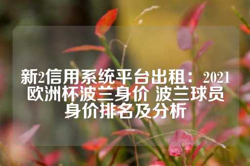 新2信用系统平台出租：2021欧洲杯波兰身价 波兰球员身价排名及分析