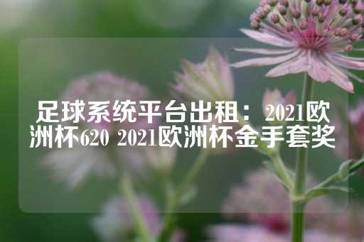 足球系统平台出租：2021欧洲杯620 2021欧洲杯金手套奖-第1张图片-皇冠信用盘出租