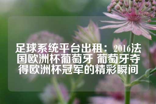 足球系统平台出租：2016法国欧洲杯葡萄牙 葡萄牙夺得欧洲杯冠军的精彩瞬间-第1张图片-皇冠信用盘出租