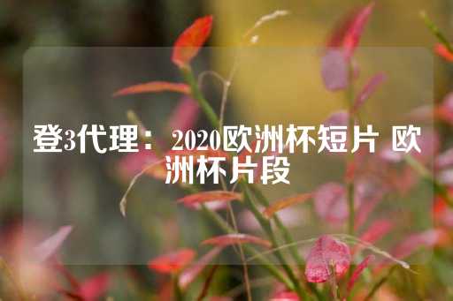 登3代理：2020欧洲杯短片 欧洲杯片段