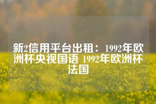 新2信用平台出租：1992年欧洲杯央视国语 1992年欧洲杯法国