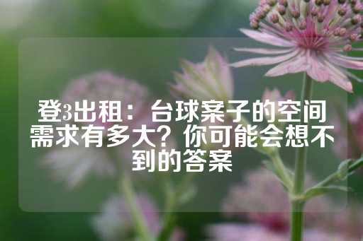 登3出租：台球案子的空间需求有多大？你可能会想不到的答案