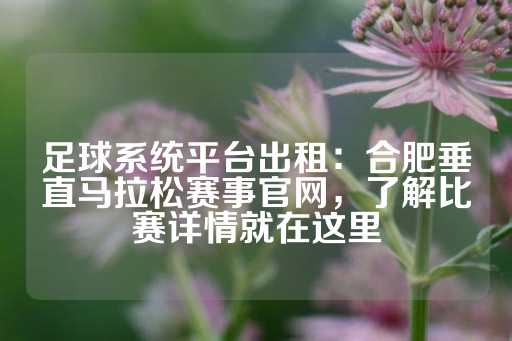 足球系统平台出租：合肥垂直马拉松赛事官网，了解比赛详情就在这里