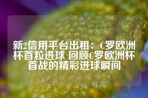 新2信用平台出租：C罗欧洲杯首粒进球 回顾C罗欧洲杯首战的精彩进球瞬间-第1张图片-皇冠信用盘出租