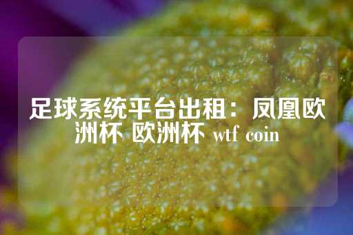 足球系统平台出租：凤凰欧洲杯 欧洲杯 wtf coin-第1张图片-皇冠信用盘出租