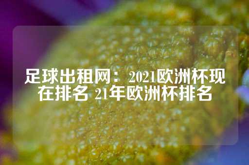 足球出租网：2021欧洲杯现在排名 21年欧洲杯排名-第1张图片-皇冠信用盘出租