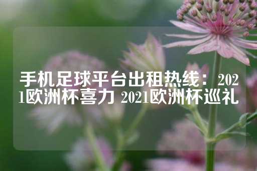 手机足球平台出租热线：2021欧洲杯喜力 2021欧洲杯巡礼