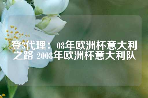 登3代理：08年欧洲杯意大利之路 2008年欧洲杯意大利队