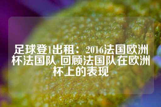 足球登1出租：2016法国欧洲杯法国队 回顾法国队在欧洲杯上的表现-第1张图片-皇冠信用盘出租