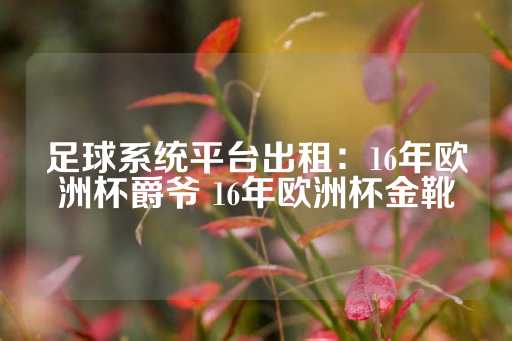 足球系统平台出租：16年欧洲杯爵爷 16年欧洲杯金靴-第1张图片-皇冠信用盘出租