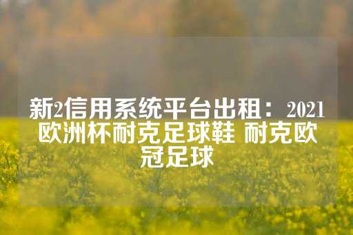 新2信用系统平台出租：2021欧洲杯耐克足球鞋 耐克欧冠足球