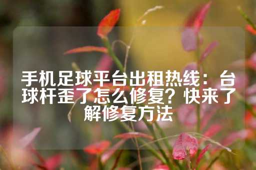 手机足球平台出租热线：台球杆歪了怎么修复？快来了解修复方法