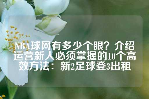 NBA球网有多少个眼？介绍运营新人必须掌握的10个高效方法：新2足球登3出租-第1张图片-皇冠信用盘出租