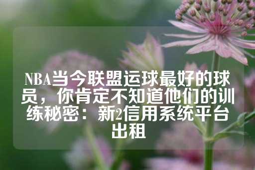 NBA当今联盟运球最好的球员，你肯定不知道他们的训练秘密：新2信用系统平台出租-第1张图片-皇冠信用盘出租