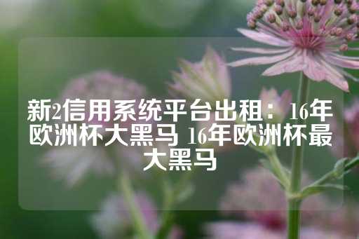 新2信用系统平台出租：16年欧洲杯大黑马 16年欧洲杯最大黑马-第1张图片-皇冠信用盘出租