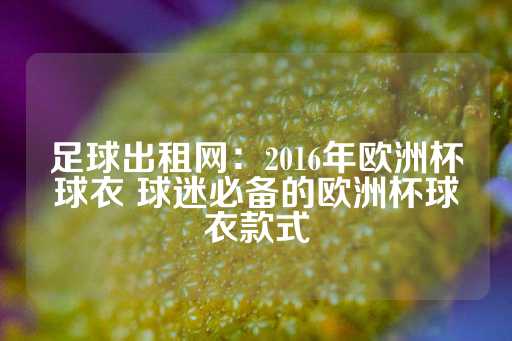 足球出租网：2016年欧洲杯球衣 球迷必备的欧洲杯球衣款式