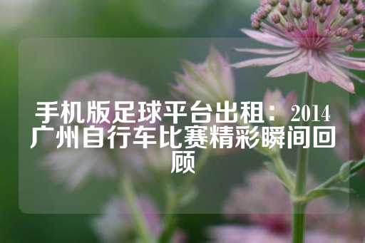 手机版足球平台出租：2014广州自行车比赛精彩瞬间回顾-第1张图片-皇冠信用盘出租