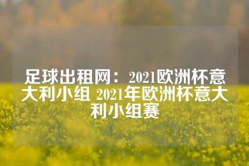 足球出租网：2021欧洲杯意大利小组 2021年欧洲杯意大利小组赛-第1张图片-皇冠信用盘出租