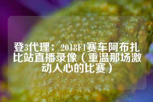 登3代理：2018F1赛车阿布扎比站直播录像（重温那场激动人心的比赛）