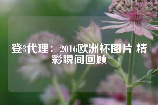 登3代理：2016欧洲杯图片 精彩瞬间回顾-第1张图片-皇冠信用盘出租