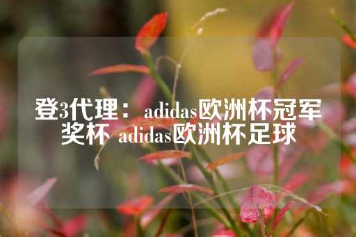 登3代理：adidas欧洲杯冠军奖杯 adidas欧洲杯足球-第1张图片-皇冠信用盘出租