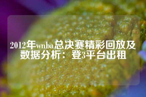 2012年wnba总决赛精彩回放及数据分析：登3平台出租