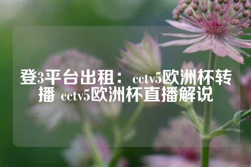 登3平台出租：cctv5欧洲杯转播 cctv5欧洲杯直播解说-第1张图片-皇冠信用盘出租