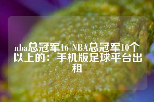 nba总冠军16 NBA总冠军10个以上的：手机版足球平台出租-第1张图片-皇冠信用盘出租