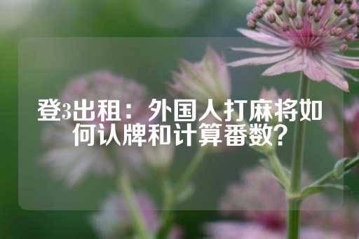 登3出租：外国人打麻将如何认牌和计算番数？-第1张图片-皇冠信用盘出租