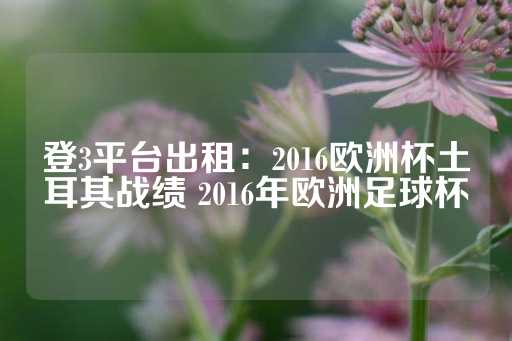 登3平台出租：2016欧洲杯土耳其战绩 2016年欧洲足球杯-第1张图片-皇冠信用盘出租