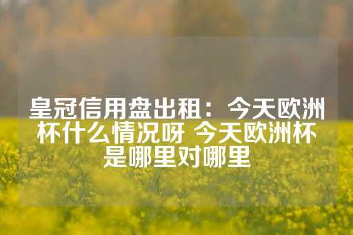 皇冠信用盘出租：今天欧洲杯什么情况呀 今天欧洲杯是哪里对哪里-第1张图片-皇冠信用盘出租