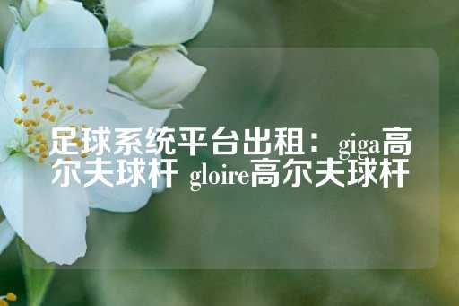 足球系统平台出租：giga高尔夫球杆 gloire高尔夫球杆