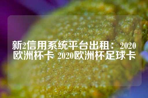 新2信用系统平台出租：2020欧洲杯卡 2020欧洲杯足球卡