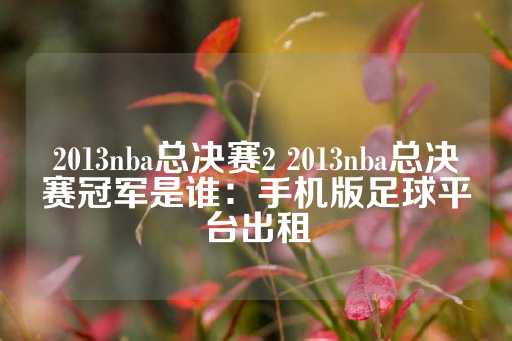 2013nba总决赛2 2013nba总决赛冠军是谁：手机版足球平台出租-第1张图片-皇冠信用盘出租