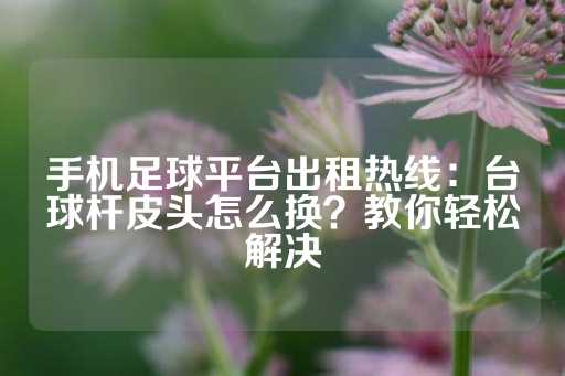 手机足球平台出租热线：台球杆皮头怎么换？教你轻松解决